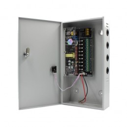 Surse alimentare 12V pentru camere Sursa alimentare CCTV 12V 8A 9 iesiri cu backup STR1208-09CB Strong Euro Power