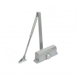 Accesorii control acces AMORTIZOR HIDRAULIC 40-65 KG, ARGINTIU OTHER