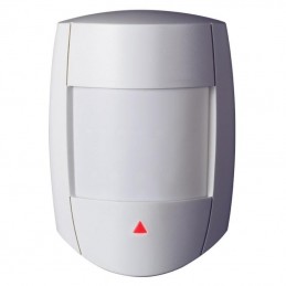 PARADOXDETECTOR DE MISCARE DG55