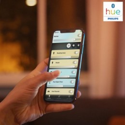 LAMPA SUSPENDATA PHILIPS HUE CHER