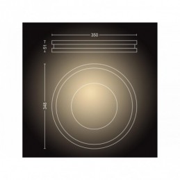 Being Hue ceiling lamp black